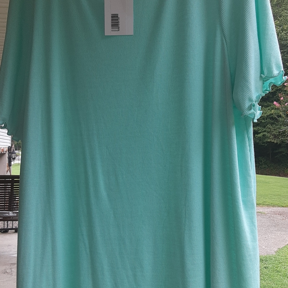 HoneyMeCurvy 3xl Mint Green Top with beautiful sleeve and hemline detail